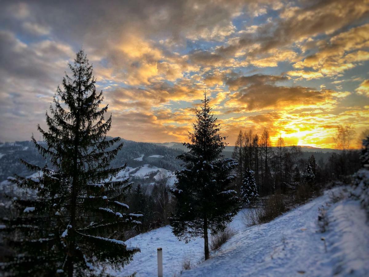 The Beskid View Висла Экстерьер фото